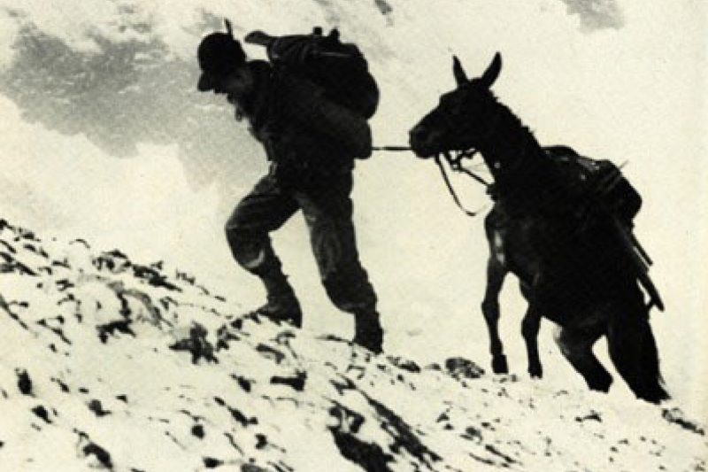 Scheda artistica Il Mulo e l'alpino- Anonima Teatri.docx